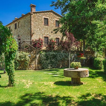 Ormanni Nel Chianti Classico Barberino Val d'Elsa Luaran gambar