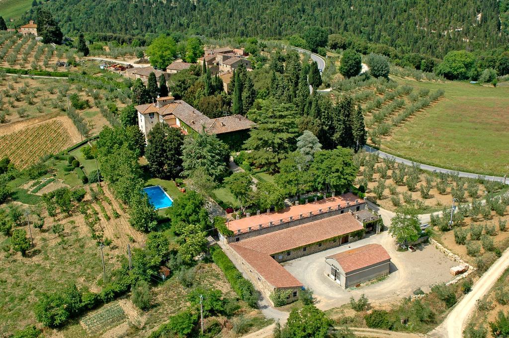 Ormanni Nel Chianti Classico Barberino Val d'Elsa Luaran gambar